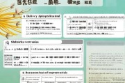 深圳补贴申请全攻略，从政策解读到材料清单，助你轻松申领